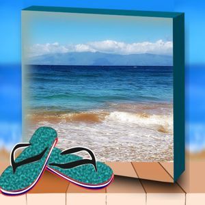 Meet your Posher, Annette ross